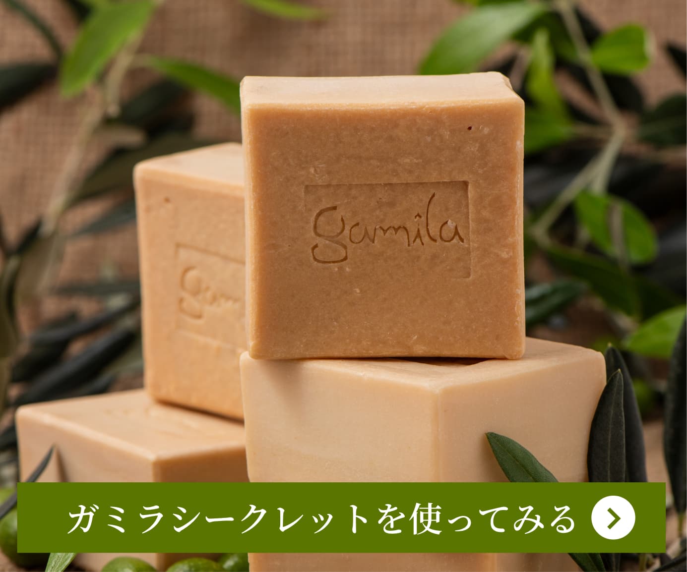 お試しはこちら