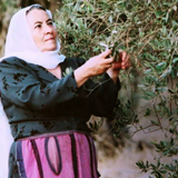 Gamila Secret ブランドストーリー